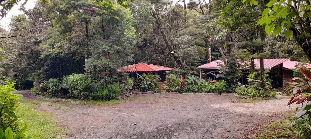 Cabanas La Montana Mountain Lodge Monteverde Eksteriør bilde