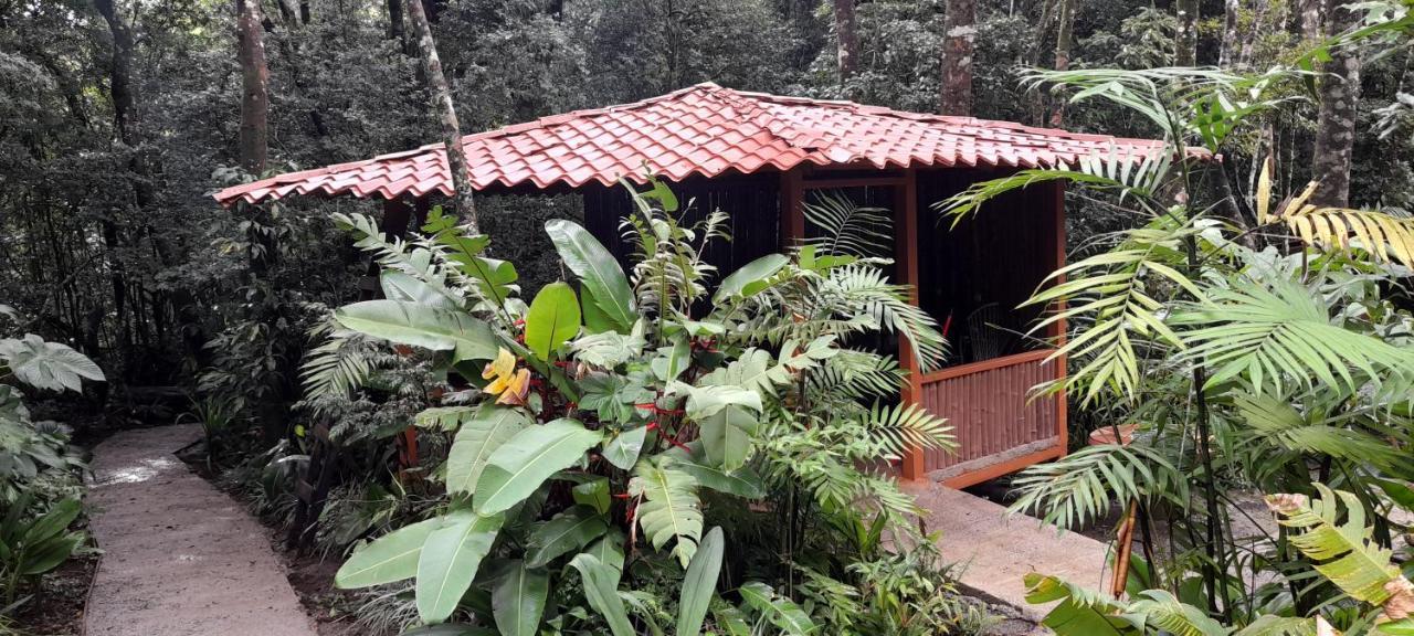 Cabanas La Montana Mountain Lodge Monteverde Eksteriør bilde
