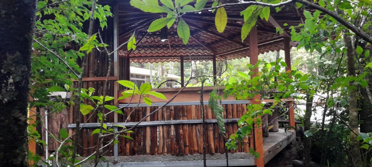 Cabanas La Montana Mountain Lodge Monteverde Eksteriør bilde