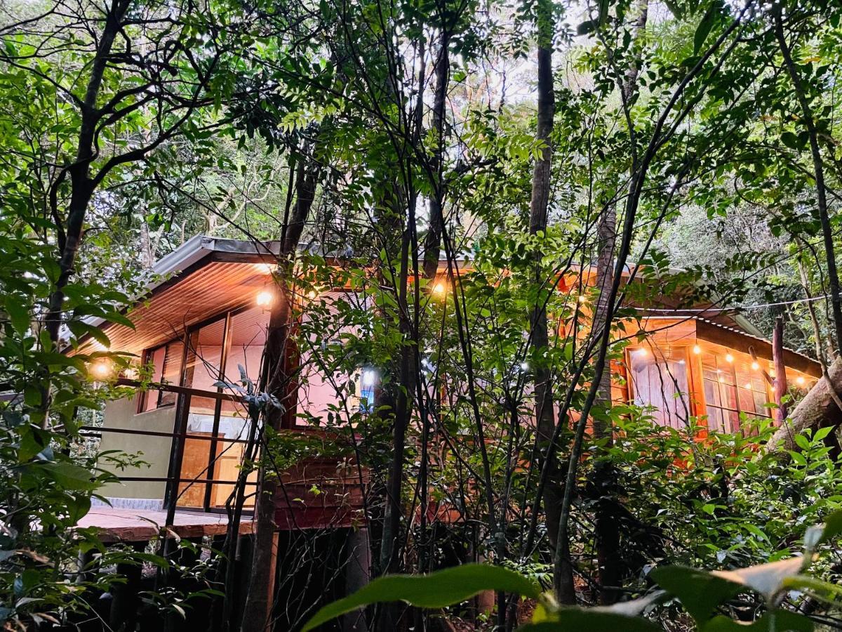 Cabanas La Montana Mountain Lodge Monteverde Eksteriør bilde
