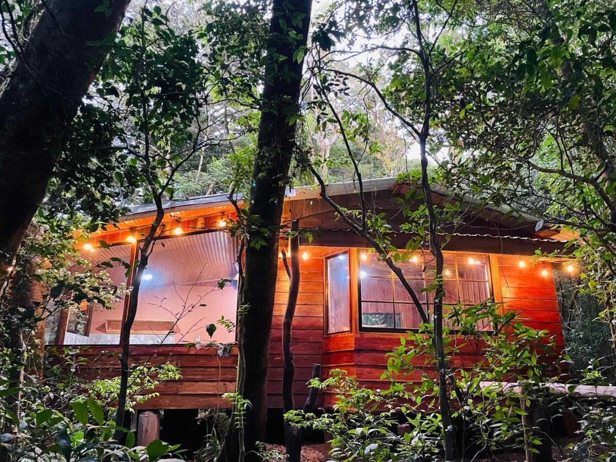 Cabanas La Montana Mountain Lodge Monteverde Eksteriør bilde